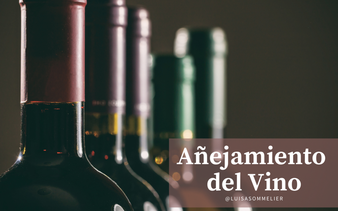 Clasificación del vino por añejamiento